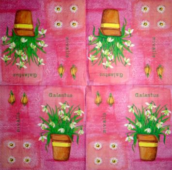 114 Daffodils - 3 ply (yellow) - Ihr